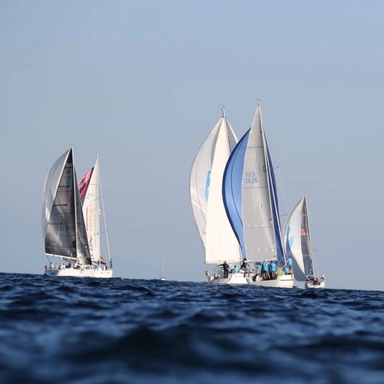 Новая регата Hemithea Regatta 2026